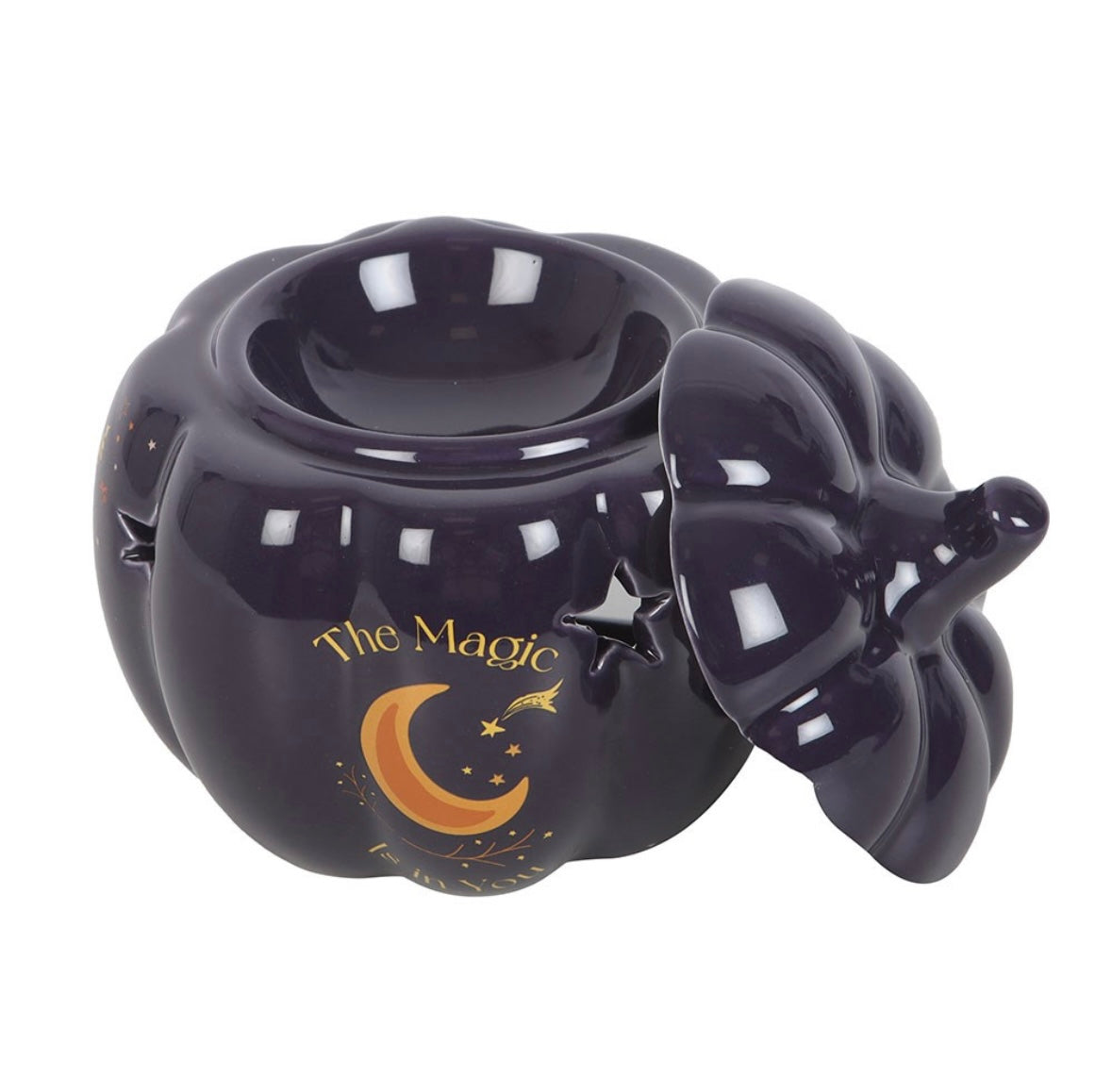🌙 Midnight Blue Pumpkin Oil Burner – Celestial Star & Moon Design