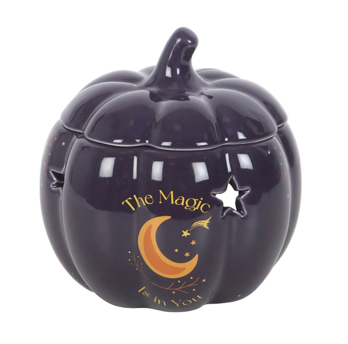 🌙 Midnight Blue Pumpkin Oil Burner – Celestial Star & Moon Design