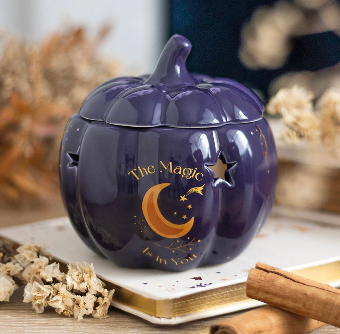 🌙 Midnight Blue Pumpkin Oil Burner – Celestial Star & Moon Design