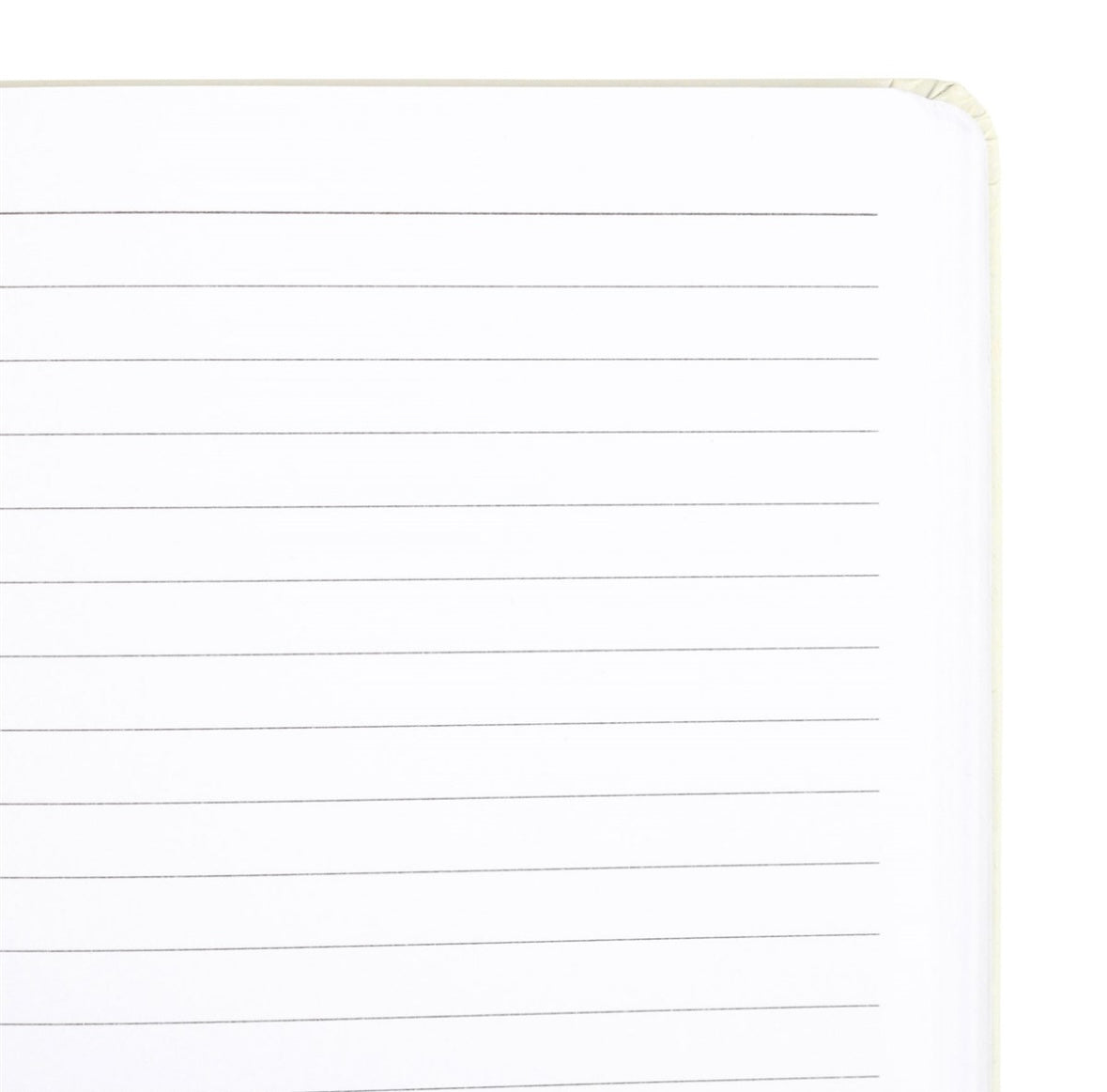 The Sun Tarot A5 Notebook